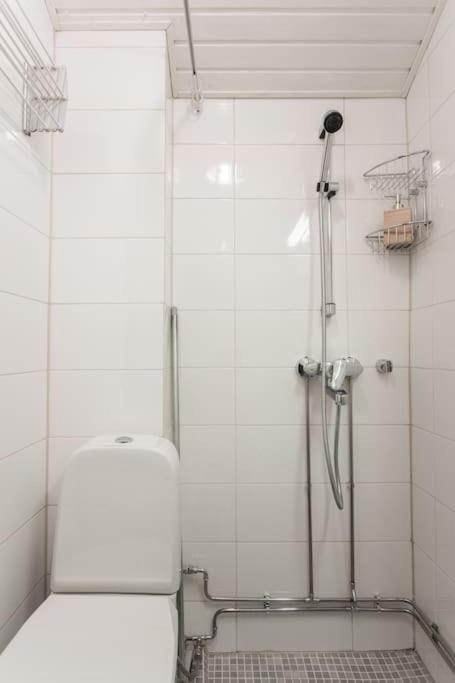 Kodikas Huoneisto Helsingin Keskustassa Huoneisto